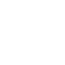 LinkedIn Icon